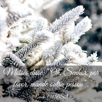 Picture 03 - Êxodo 4:13 BSL - Moisés disse: “Oh, Senhor, por favor, mande - Bible Verse Picture