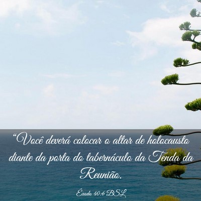 Picture 03 - Êxodo 40:6 BSL - “Você deverá colocar o altar de holocausto - Bible Verse Picture