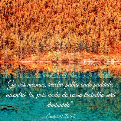 Picture 03 - Êxodo 5:11 BSL - Go vós mesmos, recebei palha onde puderdes - Bible Verse Picture