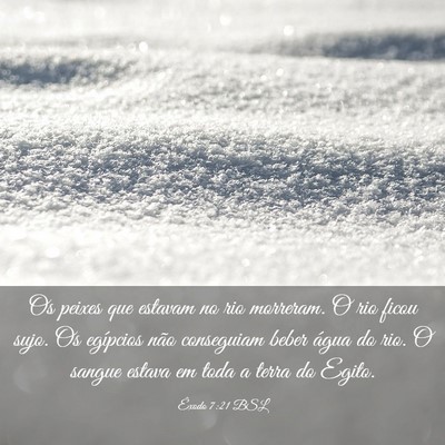 Picture 03 - Êxodo 7:21 BSL - Os peixes que estavam no rio morreram. O rio - Bible Verse Picture