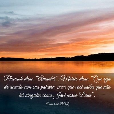 Picture 03 - Êxodo 8:10 BSL - Pharaoh disse: “Amanhã”. Moisés disse: - Bible Verse Picture