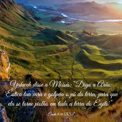 Picture 03 - Êxodo 8:16 BSL - Yahweh disse a Moisés: “Diga a Arão: 'Estica - Bible Verse Picture
