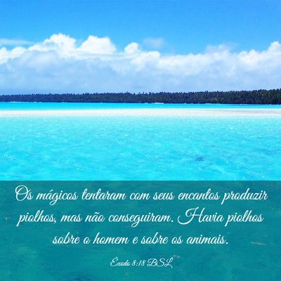 Picture 03 - Êxodo 8:18 BSL - Os mágicos tentaram com seus encantos produzir - Bible Verse Picture