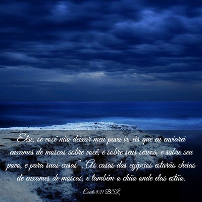 Picture 03 - Êxodo 8:21 BSL - Else, se você não deixar meu povo ir, eis que - Bible Verse Picture