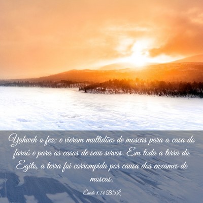 Picture 03 - Êxodo 8:24 BSL - Yahweh o fez; e vieram multidões de moscas para - Bible Verse Picture