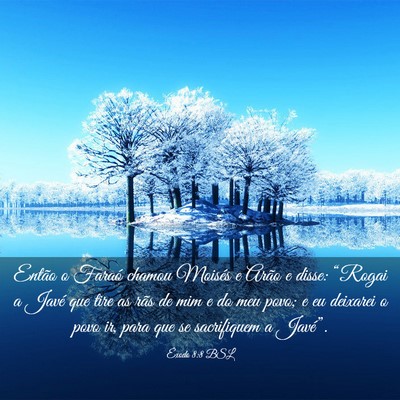 Picture 03 - Êxodo 8:8 BSL - Então o Faraó chamou Moisés e Arão e disse: - Bible Verse Picture