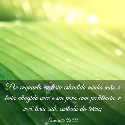 Picture 03 - Êxodo 9:15 BSL - Por enquanto eu teria estendido minha mão e - Bible Verse Picture