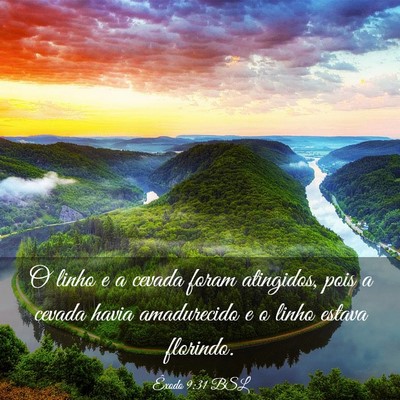 Picture 03 - Êxodo 9:31 BSL - O linho e a cevada foram atingidos, pois a cevada - Bible Verse Picture
