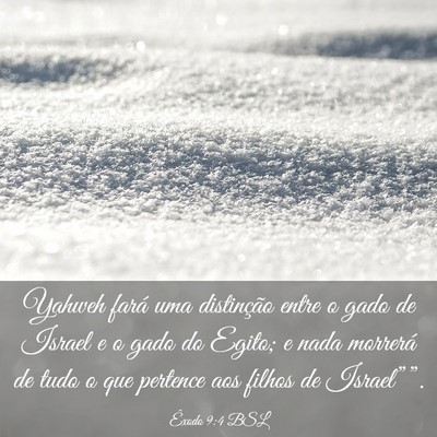 Picture 03 - Êxodo 9:4 BSL - Yahweh fará uma distinção entre o gado de - Bible Verse Picture