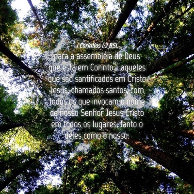 Picture 04 - 1 Coríntios 1:2 BSL - para a assembléia de Deus que está em Corinto - - Bible Verse Picture