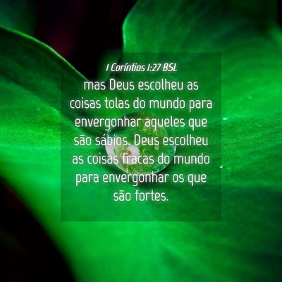 Picture 04 - 1 Coríntios 1:27 BSL - mas Deus escolheu as coisas tolas do mundo para - Bible Verse Picture