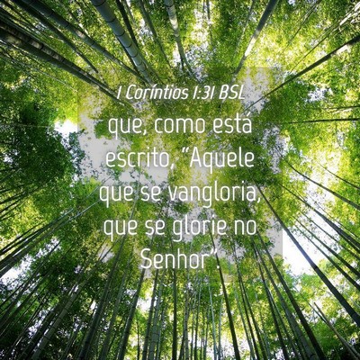 Picture 04 - 1 Coríntios 1:31 BSL - que, como está escrito, “Aquele que se - Bible Verse Picture