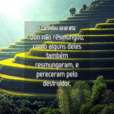 Picture 04 - 1 Coríntios 10:10 BSL - Don não resmungou, como alguns deles também - Bible Verse Picture