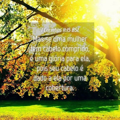 Picture 04 - 1 Coríntios 11:15 BSL - Mas se uma mulher tem cabelo comprido, é uma - Bible Verse Picture