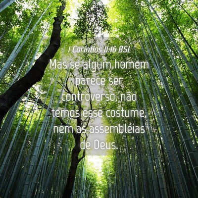 Picture 04 - 1 Coríntios 11:16 BSL - Mas se algum homem parece ser controverso, não - Bible Verse Picture