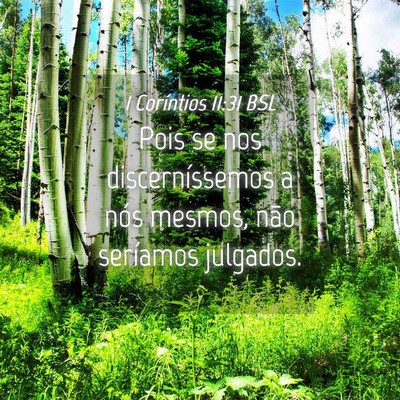 Picture 04 - 1 Coríntios 11:31 BSL - Pois se nos discerníssemos a nós mesmos, não - Bible Verse Picture