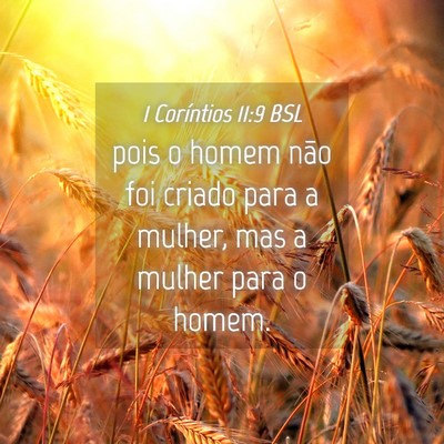 Picture 04 - 1 Coríntios 11:9 BSL - pois o homem não foi criado para a mulher, mas a - Bible Verse Picture