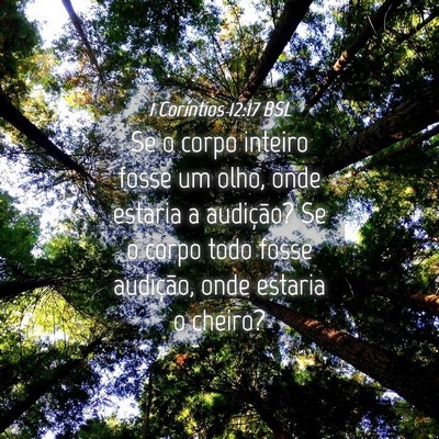 Picture 04 - 1 Coríntios 12:17 BSL - Se o corpo inteiro fosse um olho, onde estaria a - Bible Verse Picture