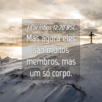 Picture 04 - 1 Coríntios 12:20 BSL - Mas agora eles são muitos membros, mas um só - Bible Verse Picture