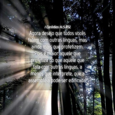 Picture 04 - 1 Coríntios 14:5 BSL - Agora desejo que todos vocês falem com outras - Bible Verse Picture