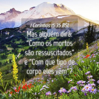 Picture 04 - 1 Coríntios 15:35 BSL - Mas alguém dirá: “Como os mortos são - Bible Verse Picture