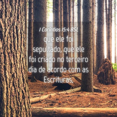 Picture 04 - 1 Coríntios 15:4 BSL - que ele foi sepultado, que ele foi criado no - Bible Verse Picture