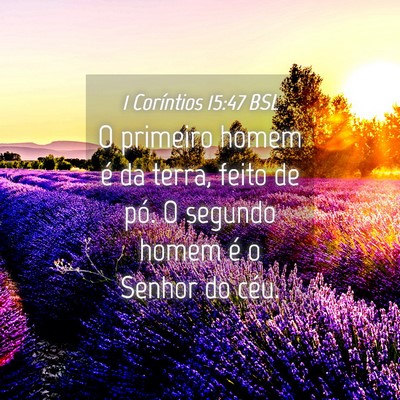 Picture 04 - 1 Coríntios 15:47 BSL - O primeiro homem é da terra, feito de pó. O - Bible Verse Picture