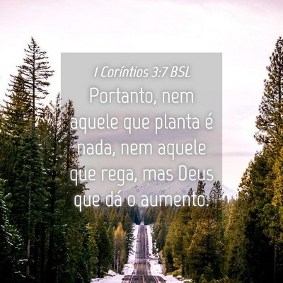 Picture 04 - 1 Coríntios 3:7 BSL - Portanto, nem aquele que planta é nada, nem - Bible Verse Picture