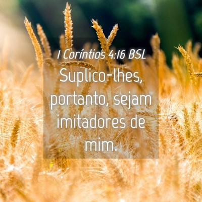 Picture 04 - 1 Coríntios 4:16 BSL - Suplico-lhes, portanto, sejam imitadores de - Bible Verse Picture