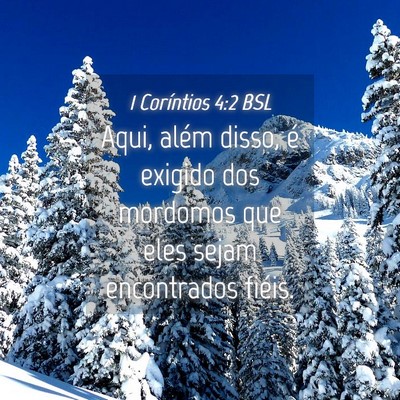 Picture 04 - 1 Coríntios 4:2 BSL - Aqui, além disso, é exigido dos mordomos que - Bible Verse Picture