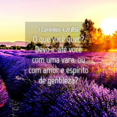 Picture 04 - 1 Coríntios 4:21 BSL - O que você quer? Devo ir até você com uma - Bible Verse Picture