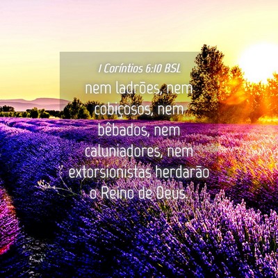 Picture 04 - 1 Coríntios 6:10 BSL - nem ladrões, nem cobiçosos, nem bêbados, nem - Bible Verse Picture