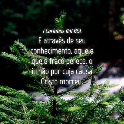 Picture 04 - 1 Coríntios 8:11 BSL - E através de seu conhecimento, aquele que é - Bible Verse Picture