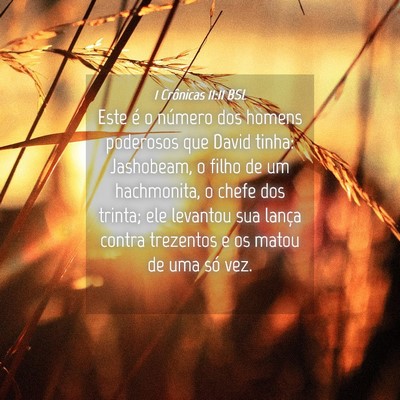 Picture 04 - 1 Crônicas 11:11 BSL - Este é o número dos homens poderosos que David - Bible Verse Picture