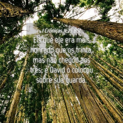 Picture 04 - 1 Crônicas 11:25 BSL - Eis que ele era mais honrado que os trinta, mas - Bible Verse Picture