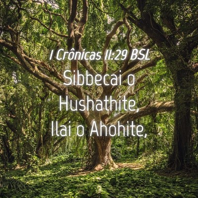 Picture 04 - 1 Crônicas 11:29 BSL - Sibbecai o Hushathite, Ilai o - Bible Verse Picture