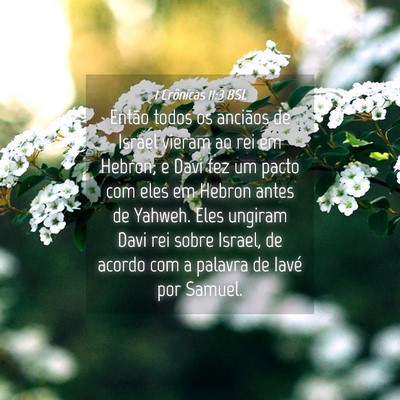 Picture 04 - 1 Crônicas 11:3 BSL - Então todos os anciãos de Israel vieram ao rei - Bible Verse Picture