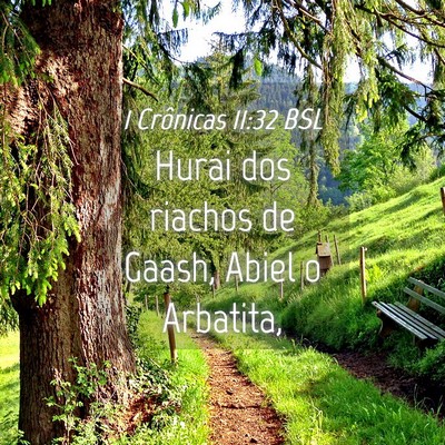 Picture 04 - 1 Crônicas 11:32 BSL - Hurai dos riachos de Gaash, Abiel o - Bible Verse Picture