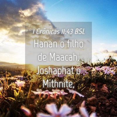 Picture 04 - 1 Crônicas 11:43 BSL - Hanan o filho de Maacah, Joshaphat o - Bible Verse Picture