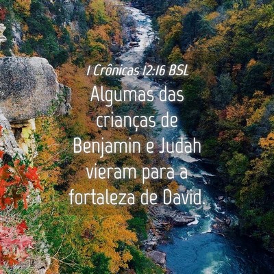 Picture 04 - 1 Crônicas 12:16 BSL - Algumas das crianças de Benjamin e Judah vieram - Bible Verse Picture