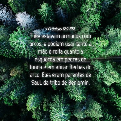 Picture 04 - 1 Crônicas 12:2 BSL - They estavam armados com arcos, e podiam usar - Bible Verse Picture