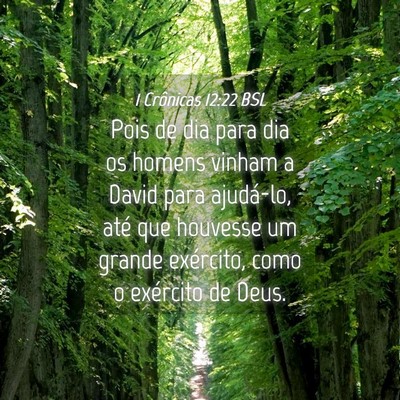 Picture 04 - 1 Crônicas 12:22 BSL - Pois de dia para dia os homens vinham a David - Bible Verse Picture