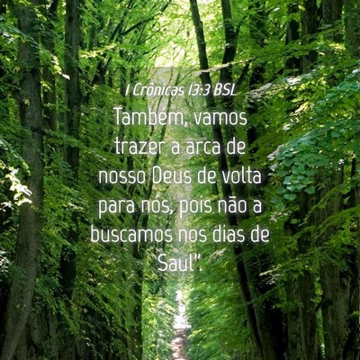Picture 04 - 1 Crônicas 13:3 BSL - Também, vamos trazer a arca de nosso Deus de - Bible Verse Picture