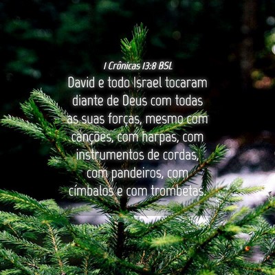 Picture 04 - 1 Crônicas 13:8 BSL - David e todo Israel tocaram diante de Deus com - Bible Verse Picture