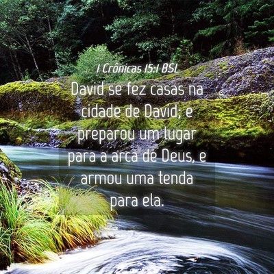 Picture 04 - 1 Crônicas 15:1 BSL - David se fez casas na cidade de David; e preparou - Bible Verse Picture