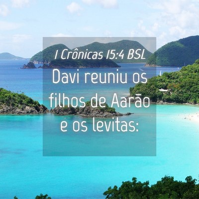 Picture 04 - 1 Crônicas 15:4 BSL - Davi reuniu os filhos de Aarão e os - Bible Verse Picture