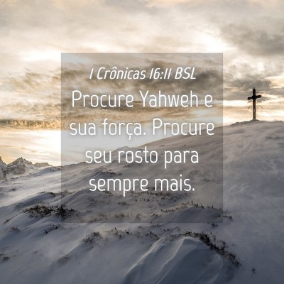 Picture 04 - 1 Crônicas 16:11 BSL - Procure Yahweh e sua força. Procure seu rosto - Bible Verse Picture