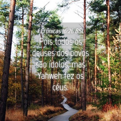 Picture 04 - 1 Crônicas 16:26 BSL - Pois todos os deuses dos povos são ídolos, mas - Bible Verse Picture
