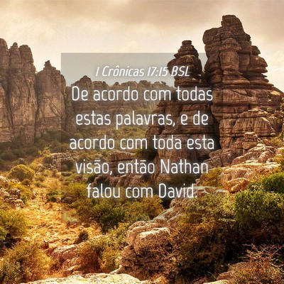 Picture 04 - 1 Crônicas 17:15 BSL - De acordo com todas estas palavras, e de acordo - Bible Verse Picture
