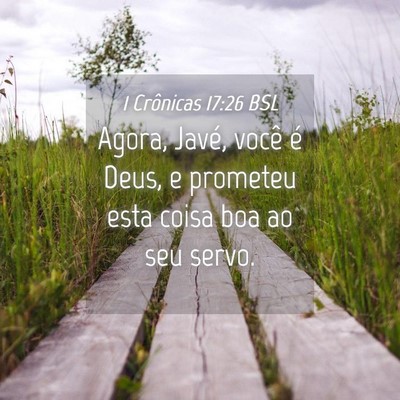 Picture 04 - 1 Crônicas 17:26 BSL - Agora, Javé, você é Deus, e prometeu esta - Bible Verse Picture